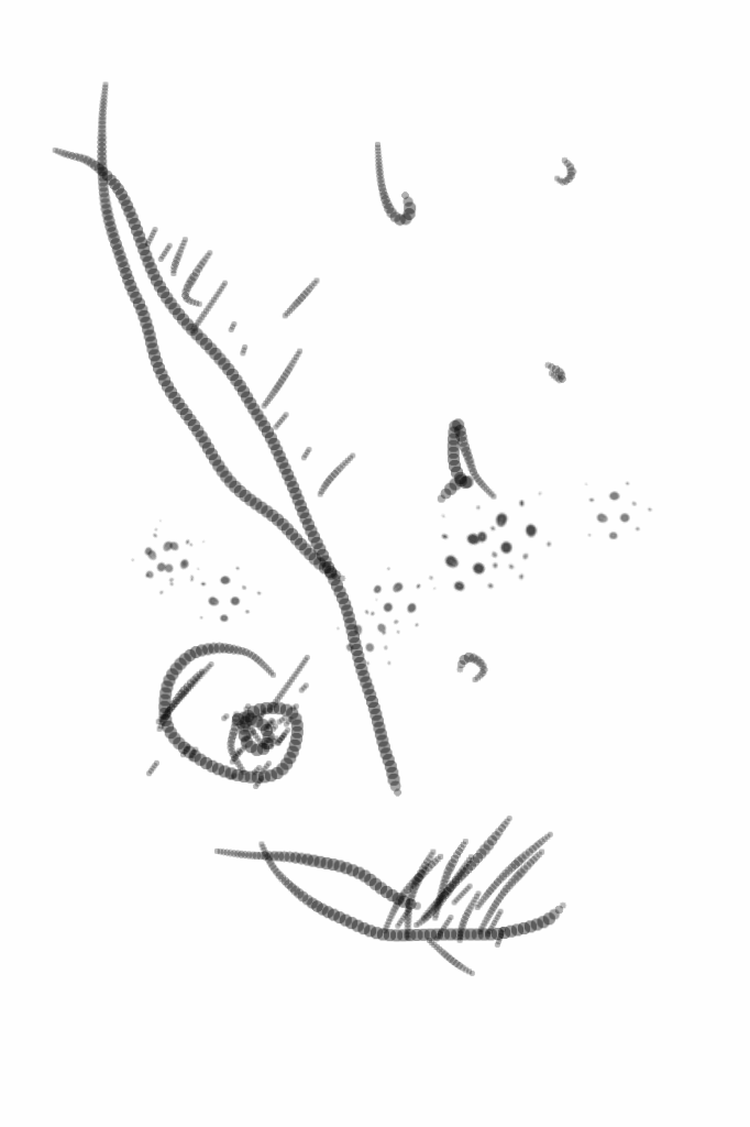 02102012 drawing a day by Stella Untalan 2012 