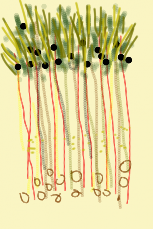 04302012 drawing by Stella Untalan