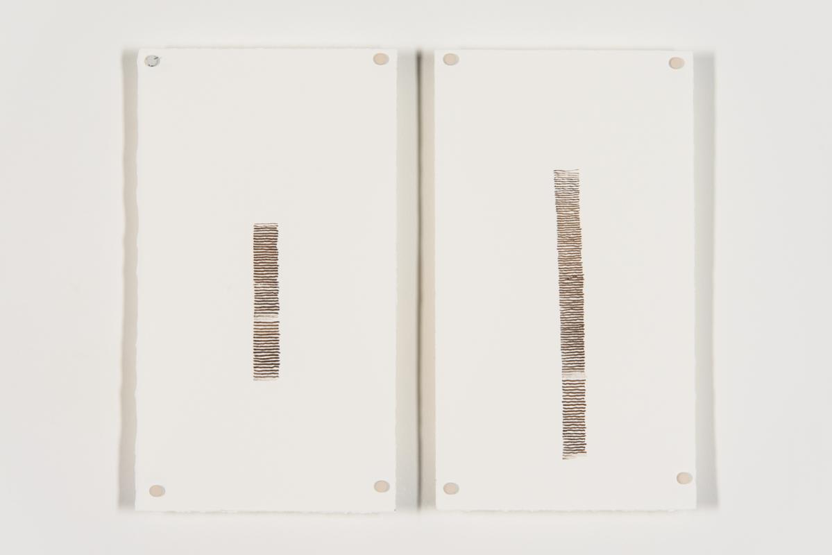 walnut missives 11.14 -9 by Stella Untalan ink drawing