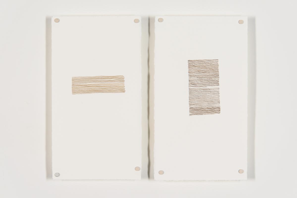 walnut missives 11.14 - 12 by Stella Untalan ink drawing