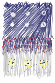 02282012 drawing a day by Stella Untalan 2012 
